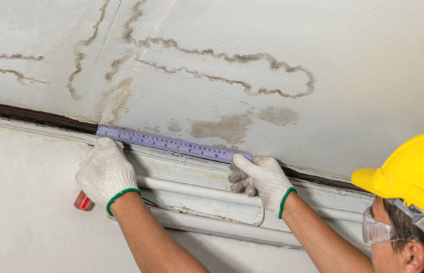 Reliable Flood Cleanup contractor in Coopersville, MI by Water Damage Irwin